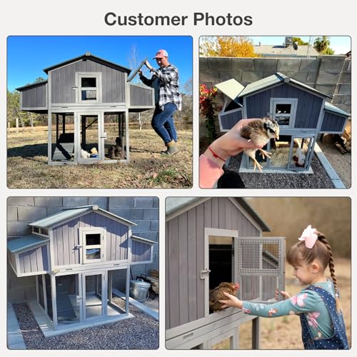 Large Chicken Coop - Unique Folding Design for Easy to Set Up - Chicken House for Outdoor with Two Nesting Box, Leakproof Pull-on Tray