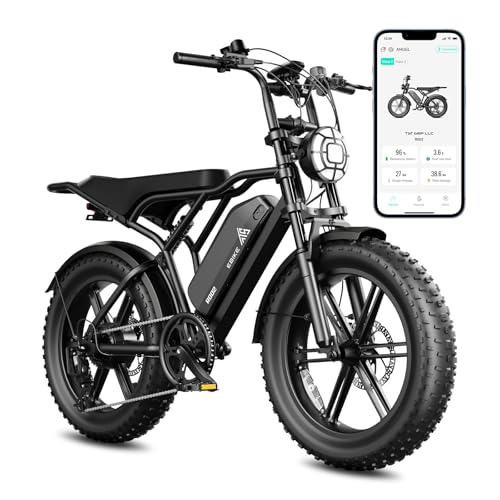 TST Electric Bike for Adults