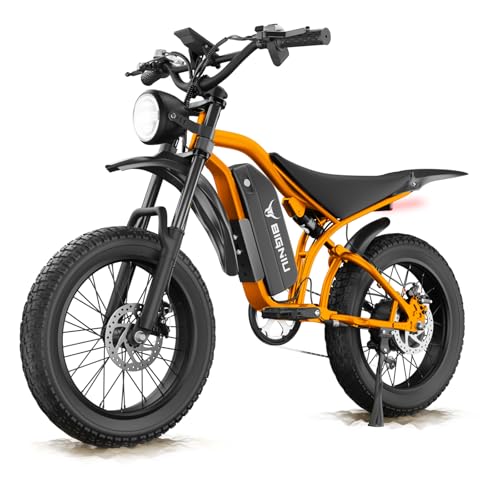Electric Bike for Adults – 20" Fat Tire, Peak 1200W Motor, 48V 15A Battery, 7-Speed, Dual Disc Brakes for Off-Road and City Riding BG-S