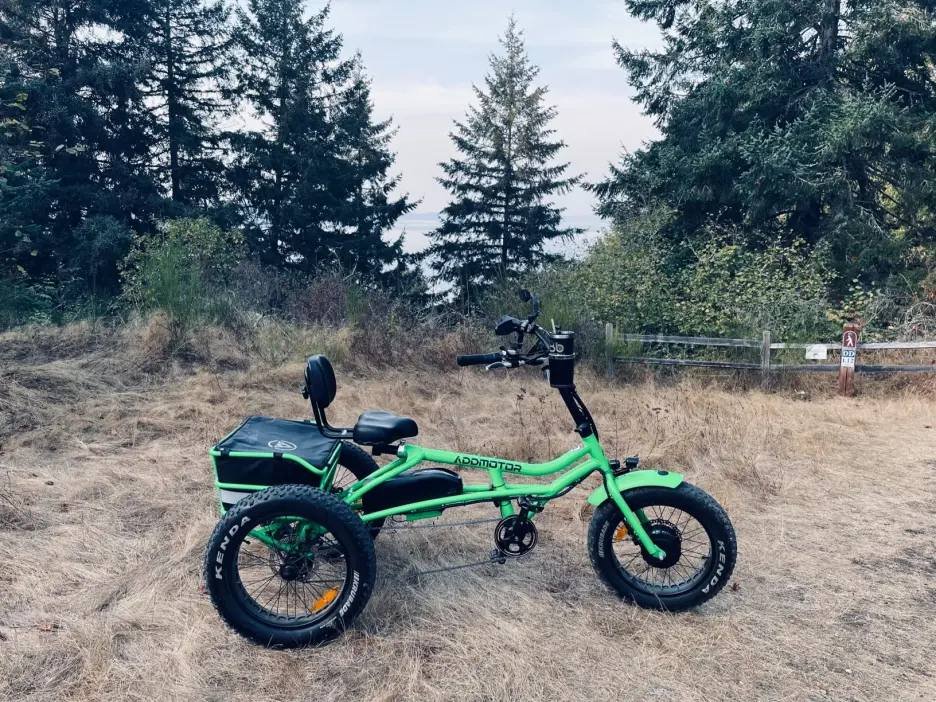 Addmotor Motan Adult Electric Tricycle, 85 Miles, 20x4 Fat Tires 3 Wheel Electric Bike