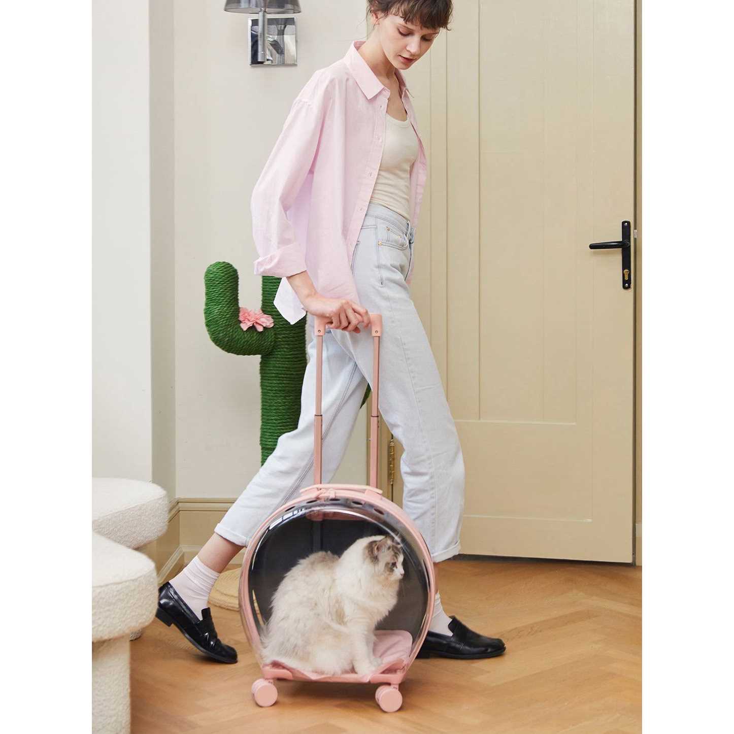 Vetreska Dog &amp; Cat Carrier - Pet Supplies online store