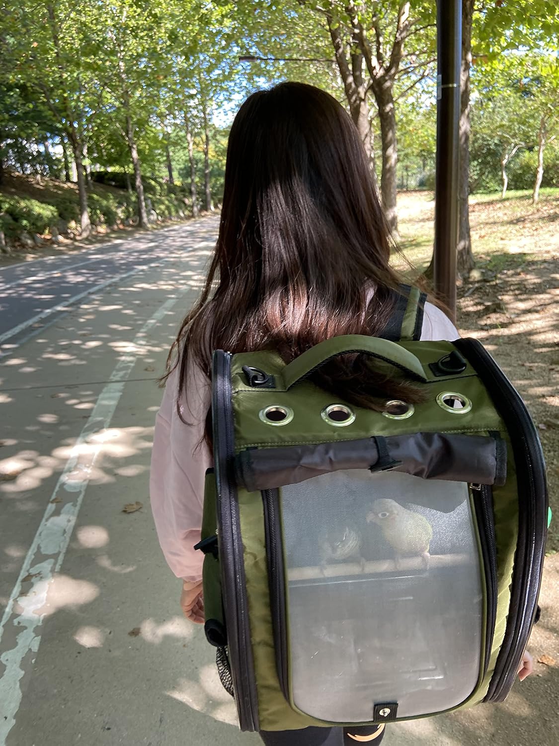 Birds Day Bird Carrier Backpack-Parrot Travel Cage with Perch and Feeding Cup, Stainless Steel Tray (Dark Olive Green)