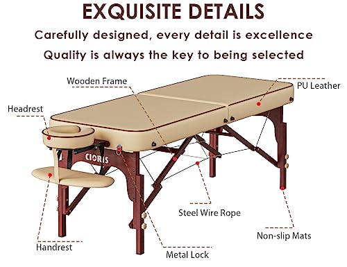 CLORIS 84" Professional Massage Table Portable 2 Folding Lightweight Facial Solon Spa Tattoo Bed Height Adjustable with Carrying Bag & Aluminium Leg