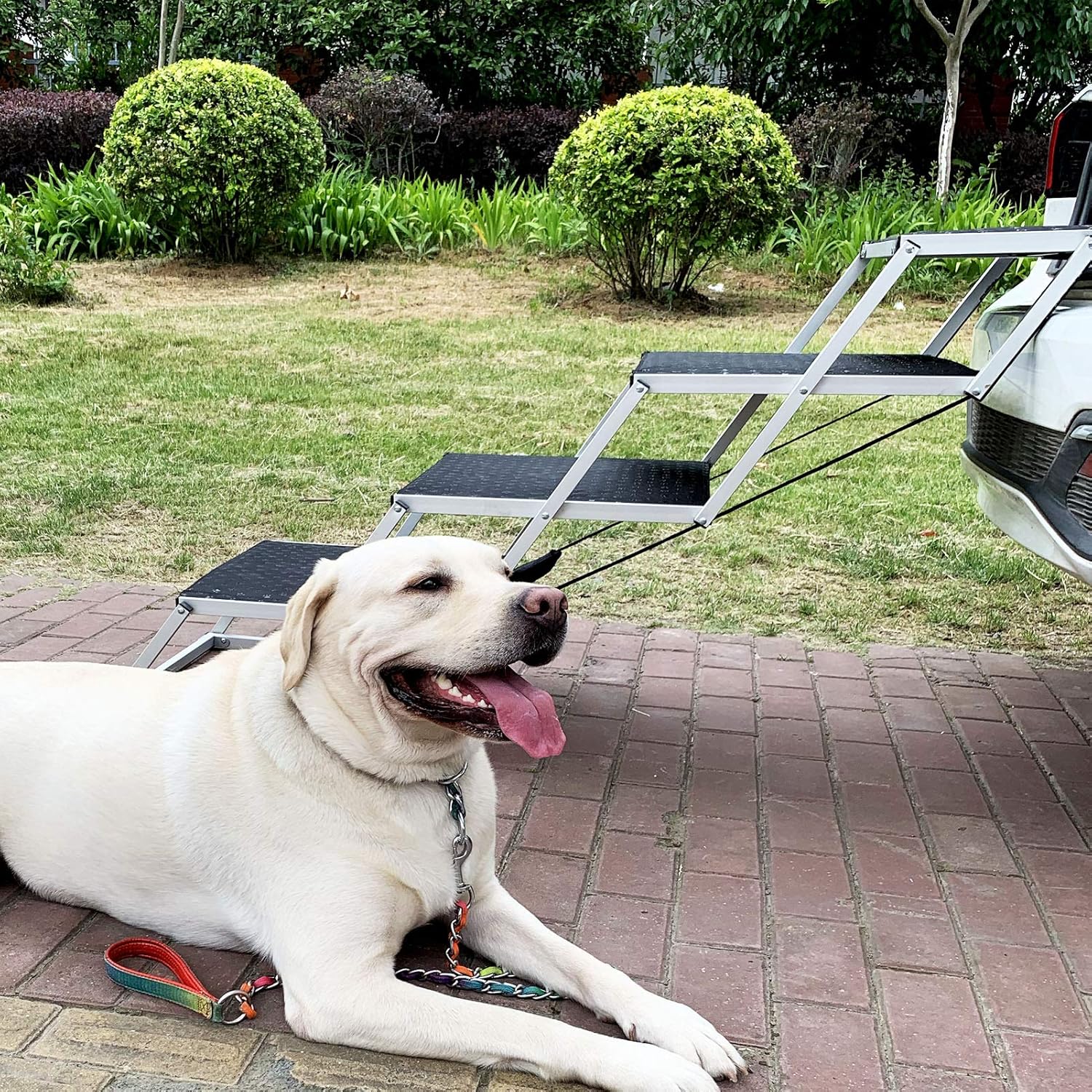 Upgraded Pet Dog Car Step Stairs for Cars and SUV, Folding Dog Ramp,Lightweight Portable Large Dog Ladder, Great for Cars,SUV,Trucks