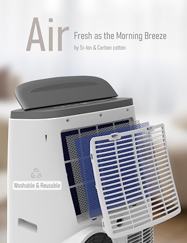 DEXSO Portable Air Conditioner