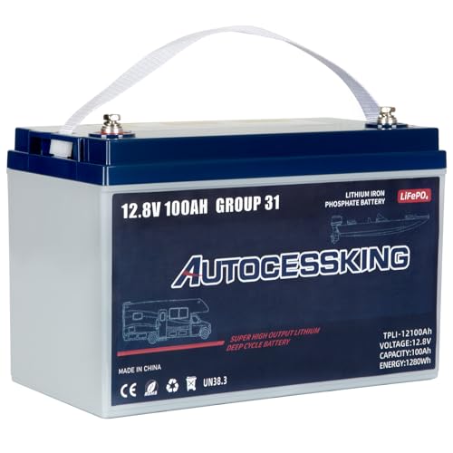 12V 100Ah BCI Group 24 LiFePO4 Battery, 100A BMS Rechargeable Mini Lithium Battery with Low-Temp Protection, Up to 15000 Cycles Perfect for RV