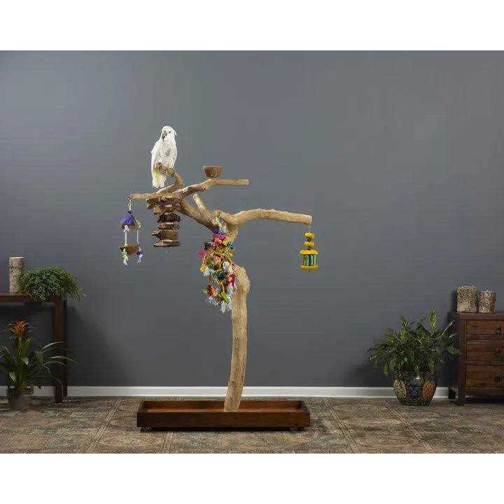 Prevue Pet Products Coffeawood Tree Style #2 Floor Stand - Pet Supplies online store