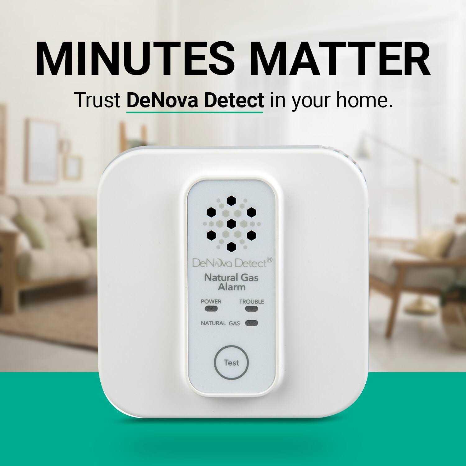 DeNova Detect Natural Gas Alarm 10-Year Battery-operated Natural Gas Detector with Voice Alert - Shop Hardware Tools Online Store