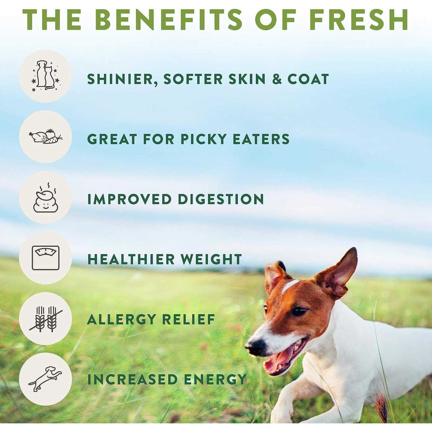 Salutem Vita Freshpet Dog Food Chunky Beef Recipe - Pet Supplies online store