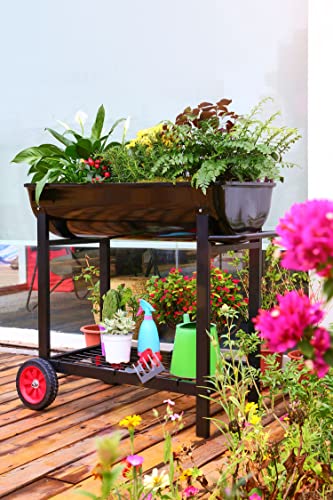 Aveyas Metal Raised Planter Box on Wheels with Gardening Kit, Elevated, Mobile Garden Bed Cart with Legs -Compatible with Indoor & Outdoor Patio