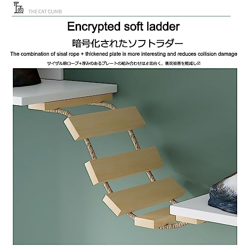 Cat Wall Furniture Set, Solid Wood Cat Shelves,cat Shelves and Perches for Wall
