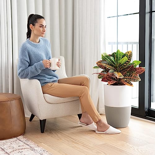 Dupray Bloom™ Air Purifier for Large Rooms with Planter or Custom Accent Table Design | For Home, Bedroom, Office, Dust