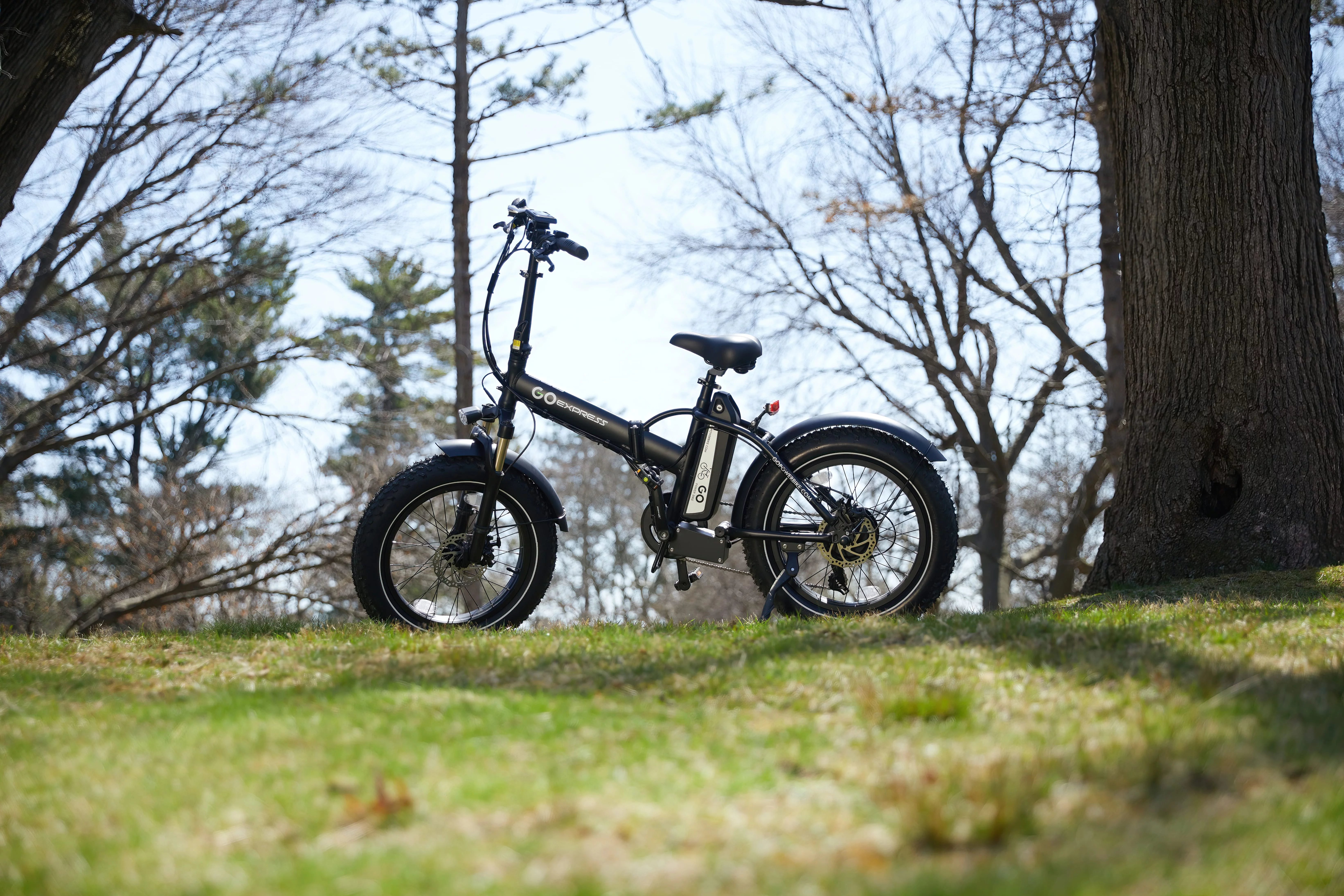 GoPowerBike GoExpress 750W Foldable Electric Bicycle with All-Terrain Fat Tires and 48V 10AH Lithium-Ion Battery (B404BLK)