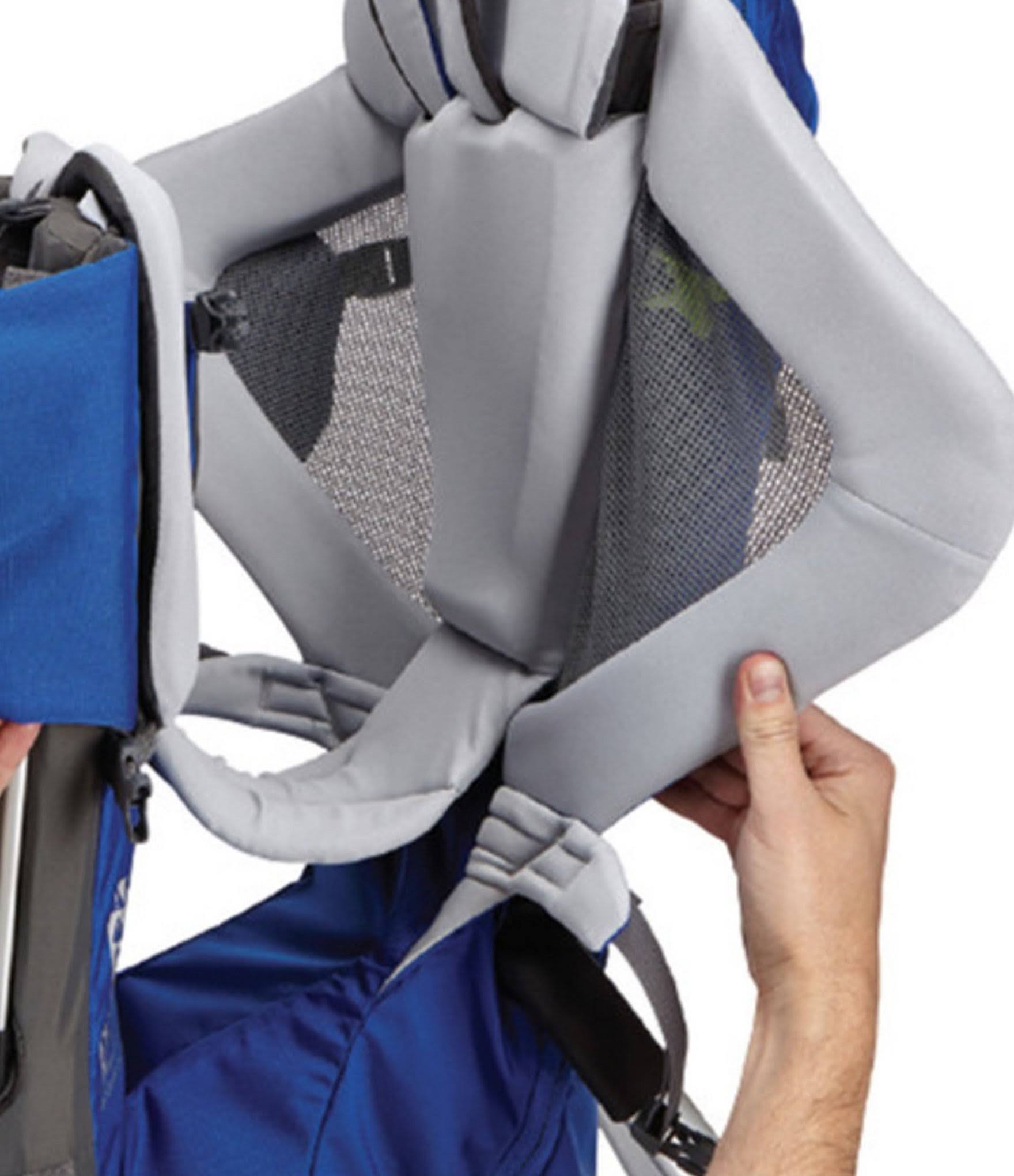 Thule Sapling Child Carrier - Slate / Cobalt