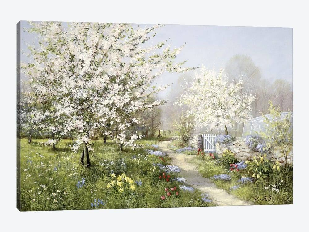 Peter Motz Canvas Wall Decor Prints - Spring Blossoms ( scenic u0026 landscapes u003E Nature u003E trails, Paths u0026 Roads art