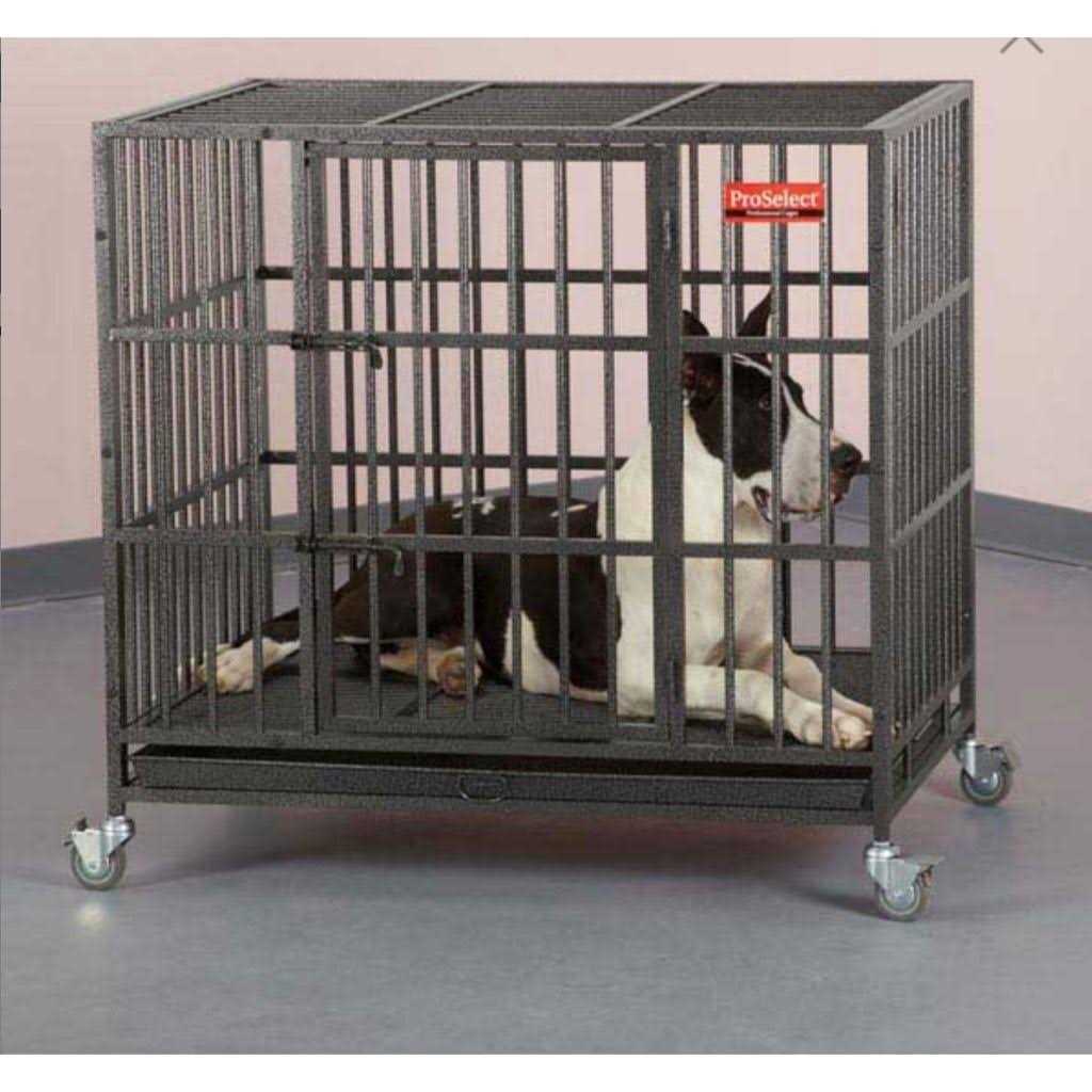ProSelect Empire Dog Cage - Pet Supplies online store