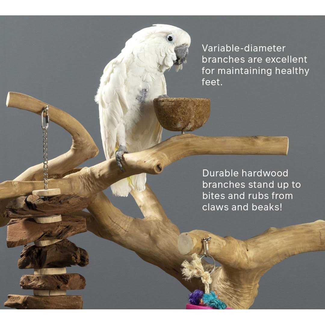 Prevue Pet Products Coffeawood Tree Style #2 Floor Stand - Pet Supplies online store