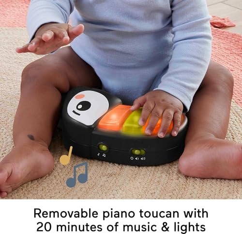 Fisher-Price Baby Bouncer Palm Paradise Jumperoo Activity Center with Music Lights Sounds and Developmental Toys​