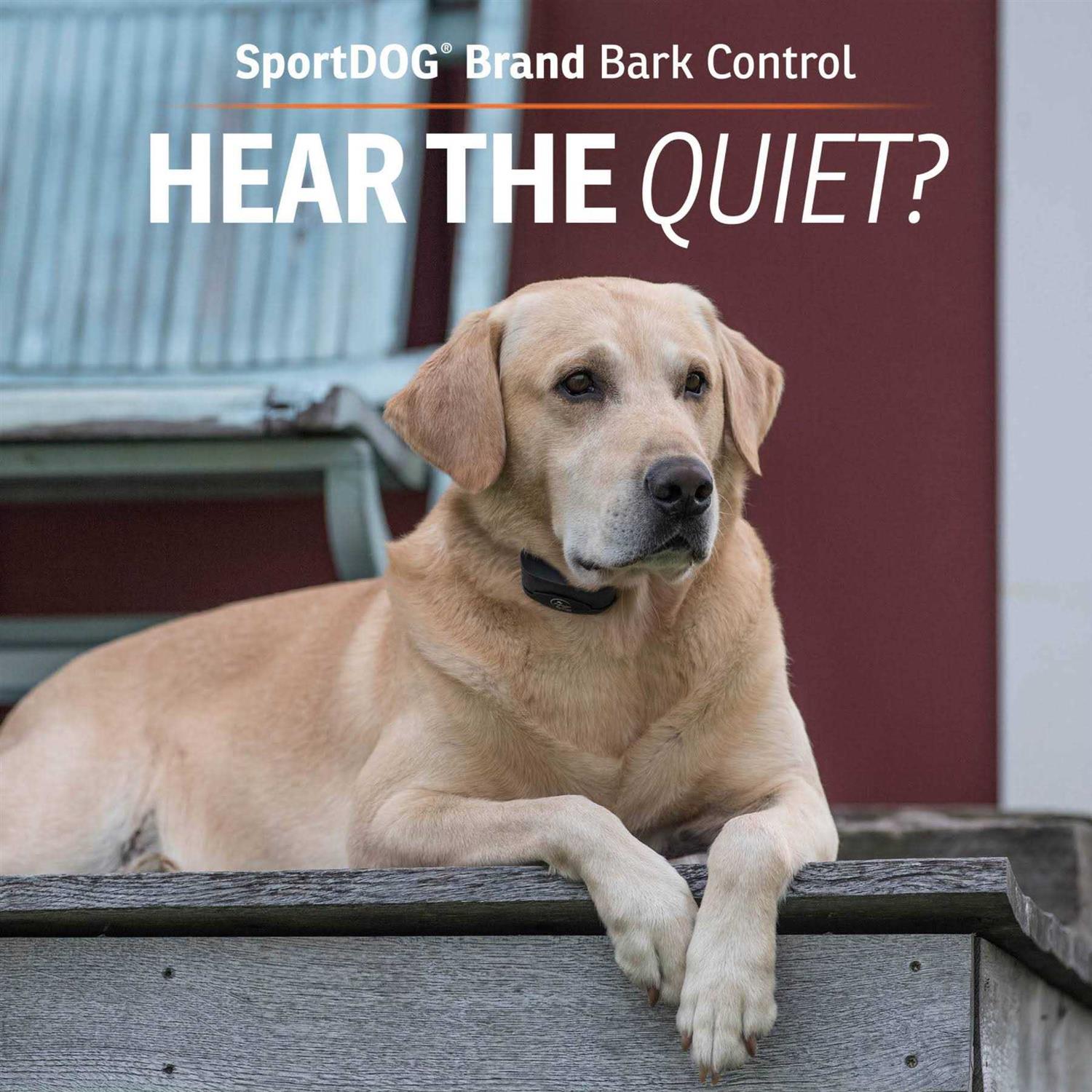 SportDOG NoBark SBC-8 Collar - Pet Supplies online store