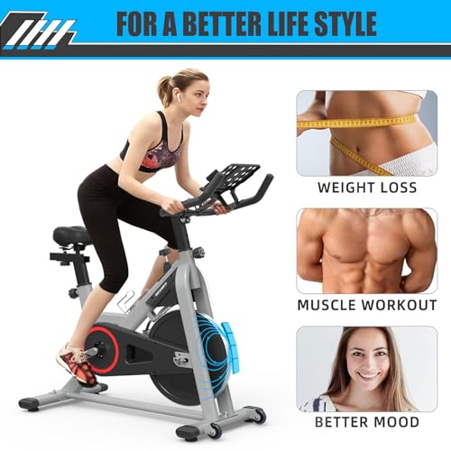 GEONEO Exercise Bike, Exercise Bike for Home, Stationary Indoor Cycling Bike Cardio Gym with pad Holder and LCD Monitor