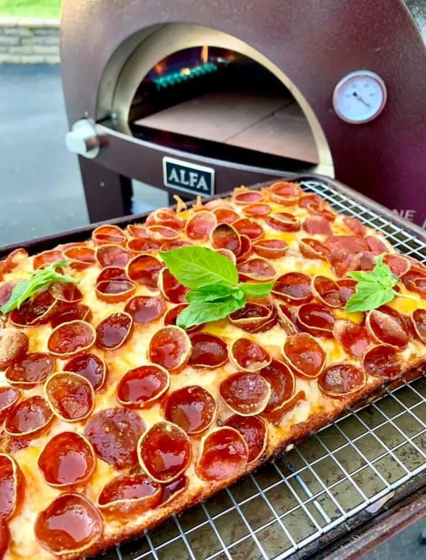 ALFA Nano Gas or Wood Fire Hybrid Pizza Oven (Wood Oven Only)