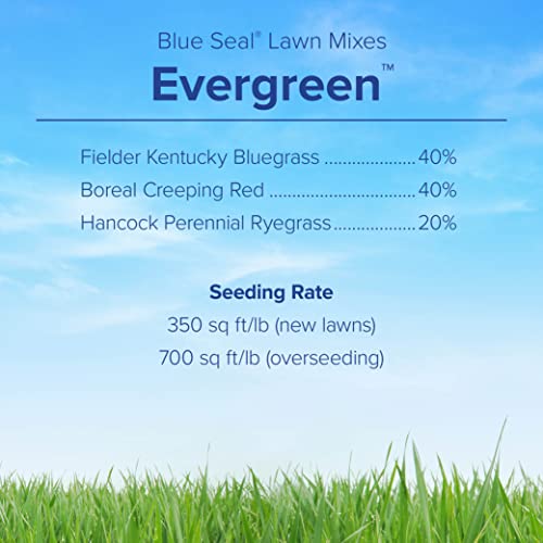 Blue Seal Evergreen Grass Seed - Complete Sun and Shade Mix, Fine-Textured Lawn, Thickens Rapidly, Fast Growing Lawn Seed - 25 lb Bag