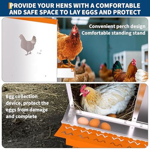 Garvee Chicken Nesting Box with Removable Tray, 8 Compartment Nesting Boxes for Chickens, Easy to Clean and Install
