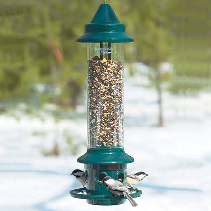 Brome Bird Care Squirrel Buster Plus Bird Feeder, Green