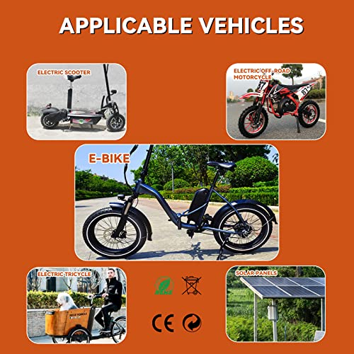 48V 20AH Ebike Battery, LiFePO4 Battery Pack with 40A BMS and 3A Fast Charger fit for 1500w-250w Motor, Electric Motorcycle Bike Scooter,Go cart