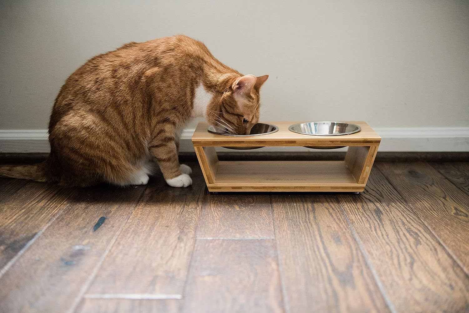 Pawfect Pets Elevated Dog Bowl Stand- 4&rdquo; Raised Dog Bowl for Small Dogs and Cats. Pet Feeder Comes with Four Stainless Steel Bowls