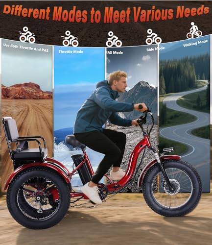 Adult Electric Tricycle Adult Tricycle 3 Wheel Bikes Adults Electric Three Wheel Bike - Radiant Selections