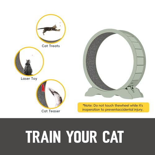 Cat Exercise Wheel 45 Inch Cat Treadmill for Indoor Cats, Running Wheel with Detachable Carpeted Runway