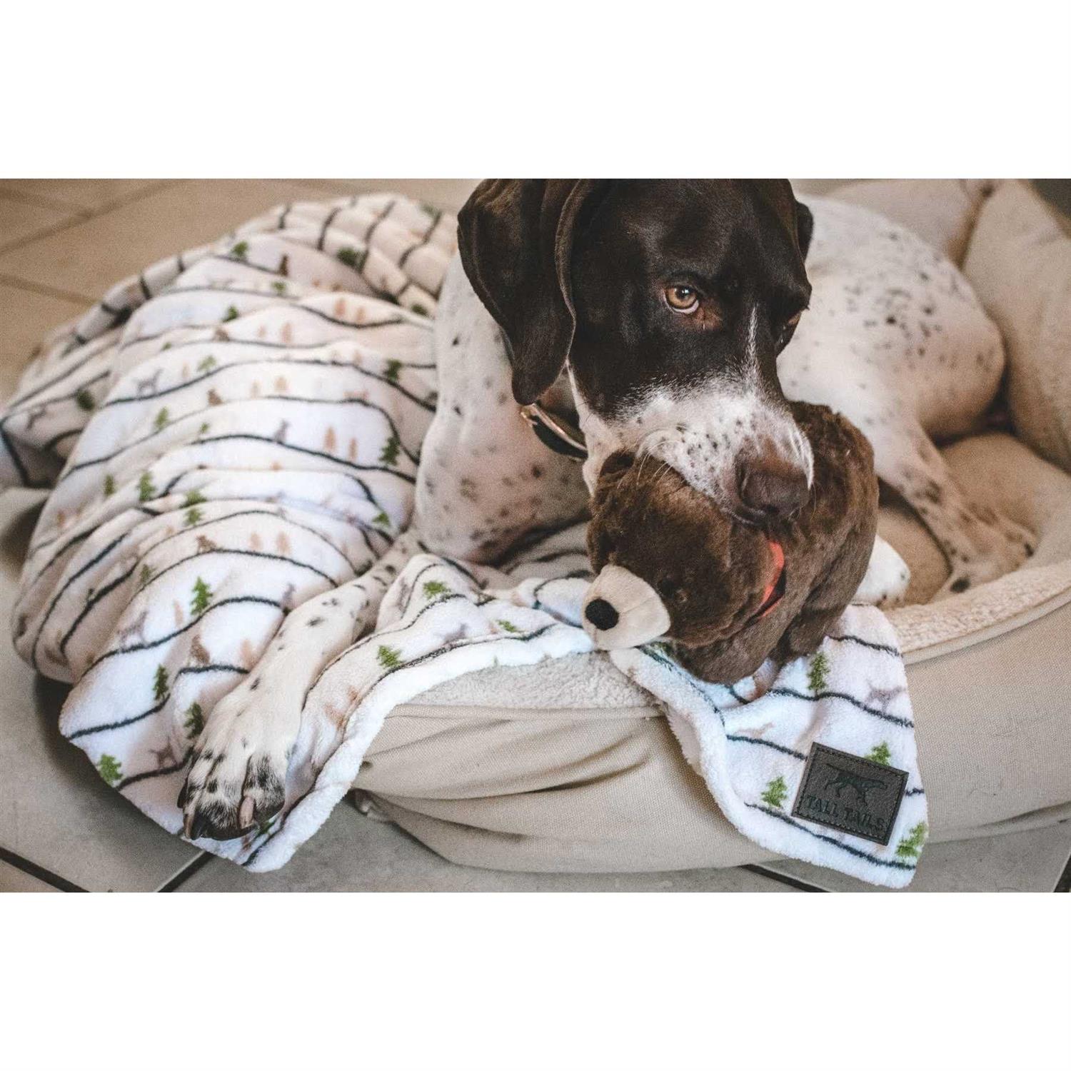 Tall Tails Dream Chaser Bolster Bed - Pet Supplies online store
