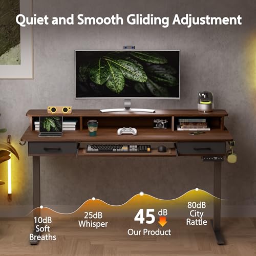 48x24 Inches Electric Standing Desk with 2 Drawers, Height Adjustable Stand up Desk for Home Office, Ergonomic Sit to Stand Table with Storage Shelf