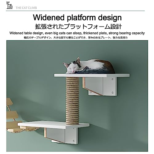 Cat Wall Furniture Set, Solid Wood Cat Shelves,cat Shelves and Perches for Wall