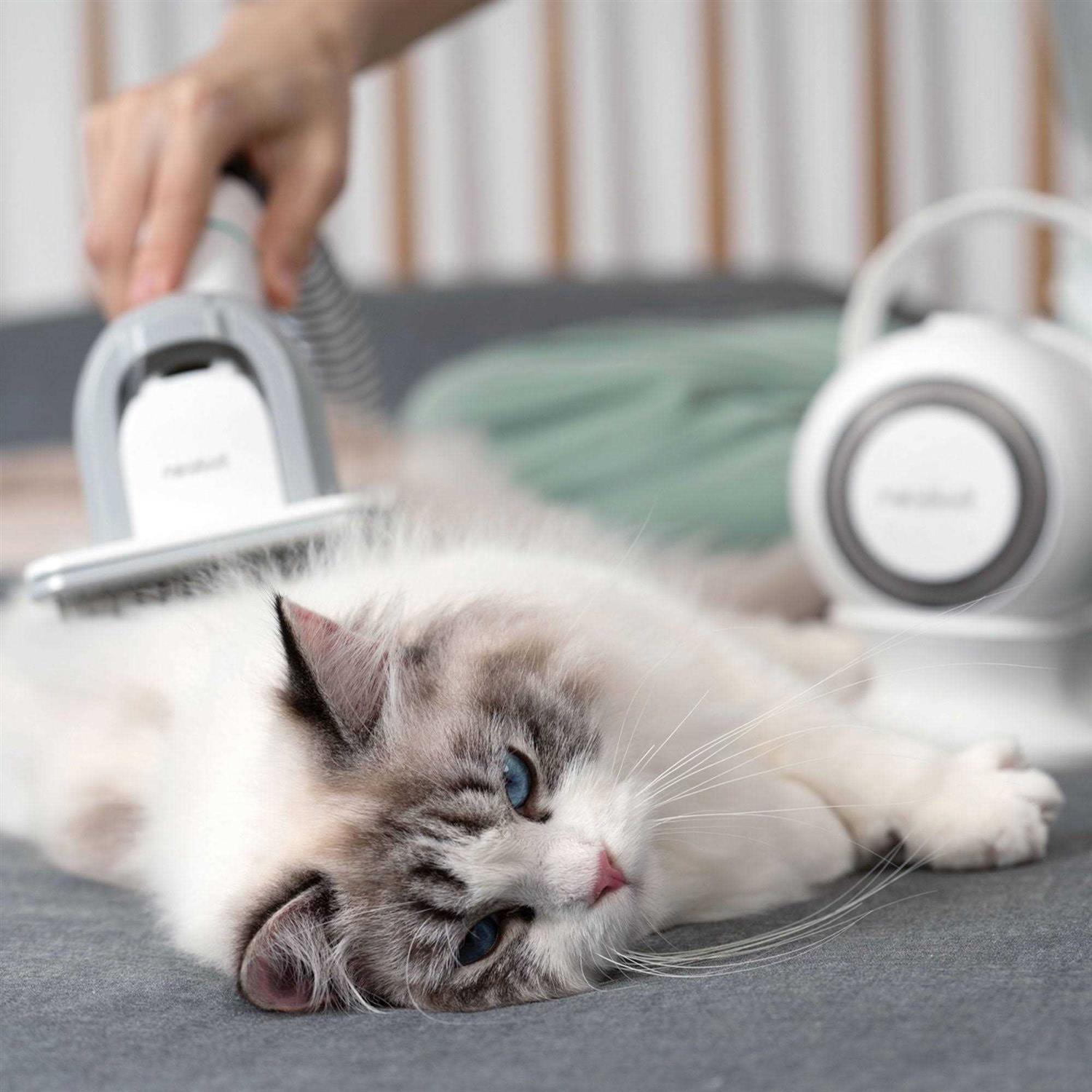 Neabot P1 Pro Pet Grooming Kit &amp; Vacuum - Pet Supplies online store