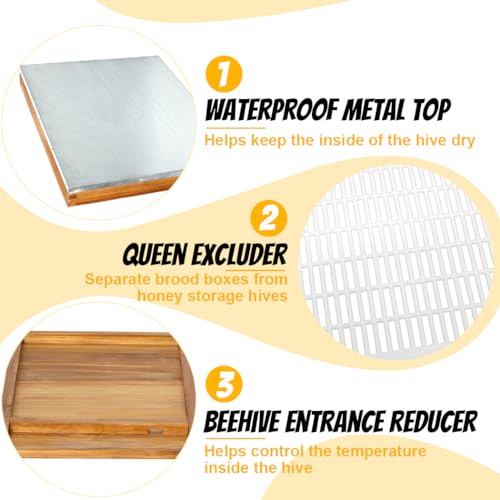 Honey Lake 10 Frame Bee Hive Starter Kit