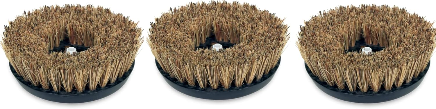 Replacement Scrubby Brushes for Electrolux B9, Includes a Set of 3 Scrubby Brushes OEM # 42827