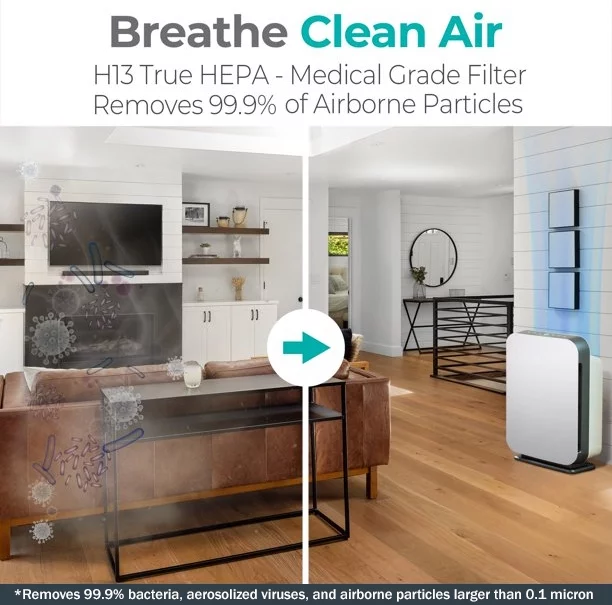 Alen BreatheSmart FIT50 Air Purifier with Fresh, True HEPA Filter, for Allergens, Dust, Mold, Germs and Household Odors - 900 SqFt
