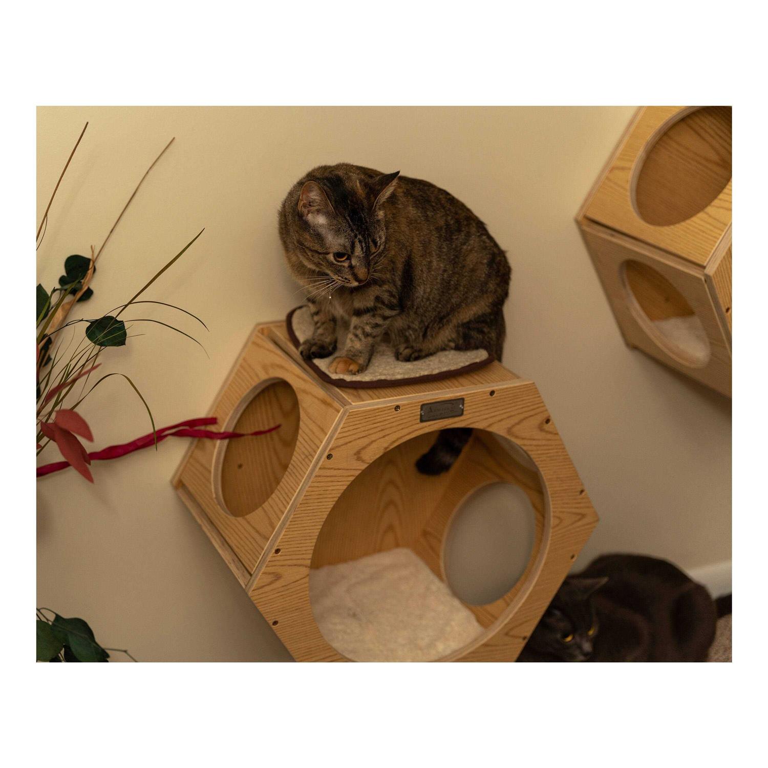 Armarkat Real Wood Wall Series Set of Two Natural Wood Wall Tree Additions - Pet Supplies online store