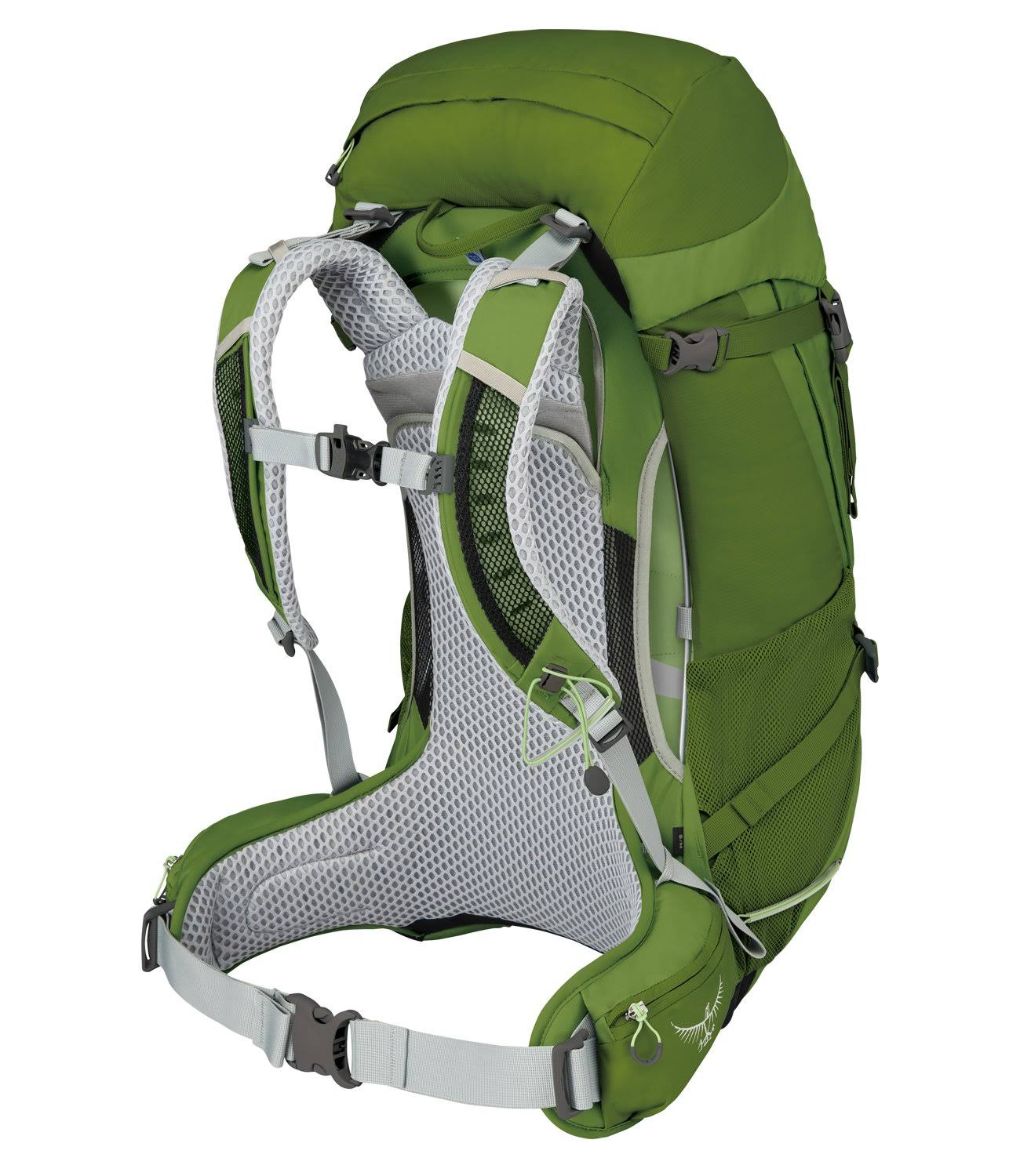 Osprey Sirrus 36 - Thyme Green