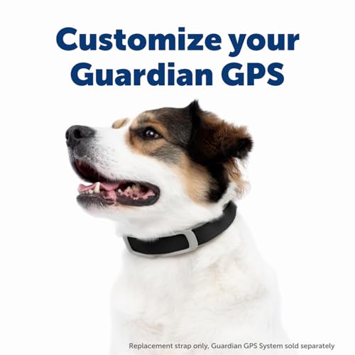 PetSafe Guardian GPS Dog Fence – No Subscription – Create Your Own Wireless Fence for Dogs – for Yards 3/4 Acres or Larger – World's Safest GPS Dog