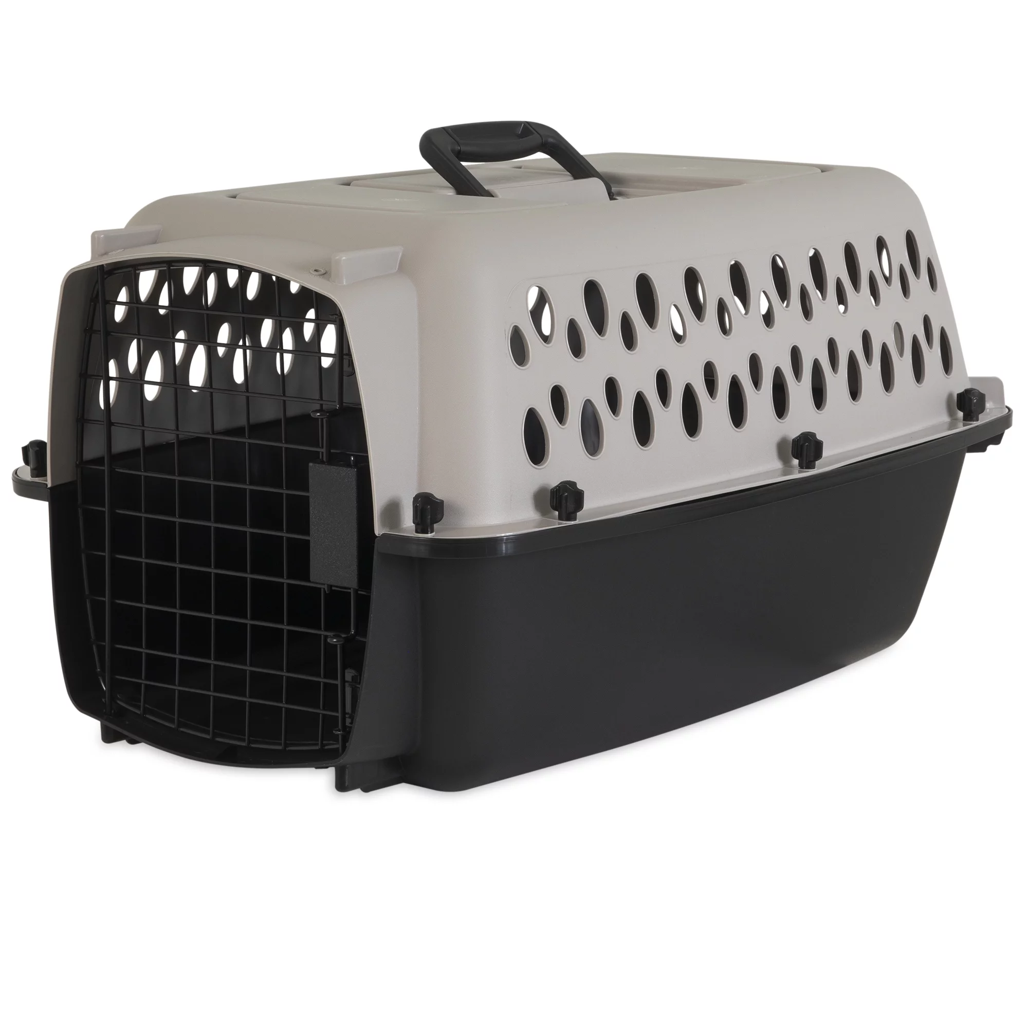 Vibrant Life Pet Kennel 19 X-Small Plastic Dog Crate Portable Carrier for Pets Up To 10 lbs