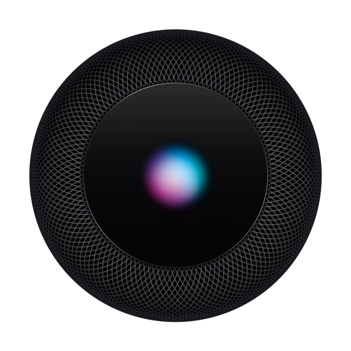 Apple HomePod - Space Gray - Radiant Selections