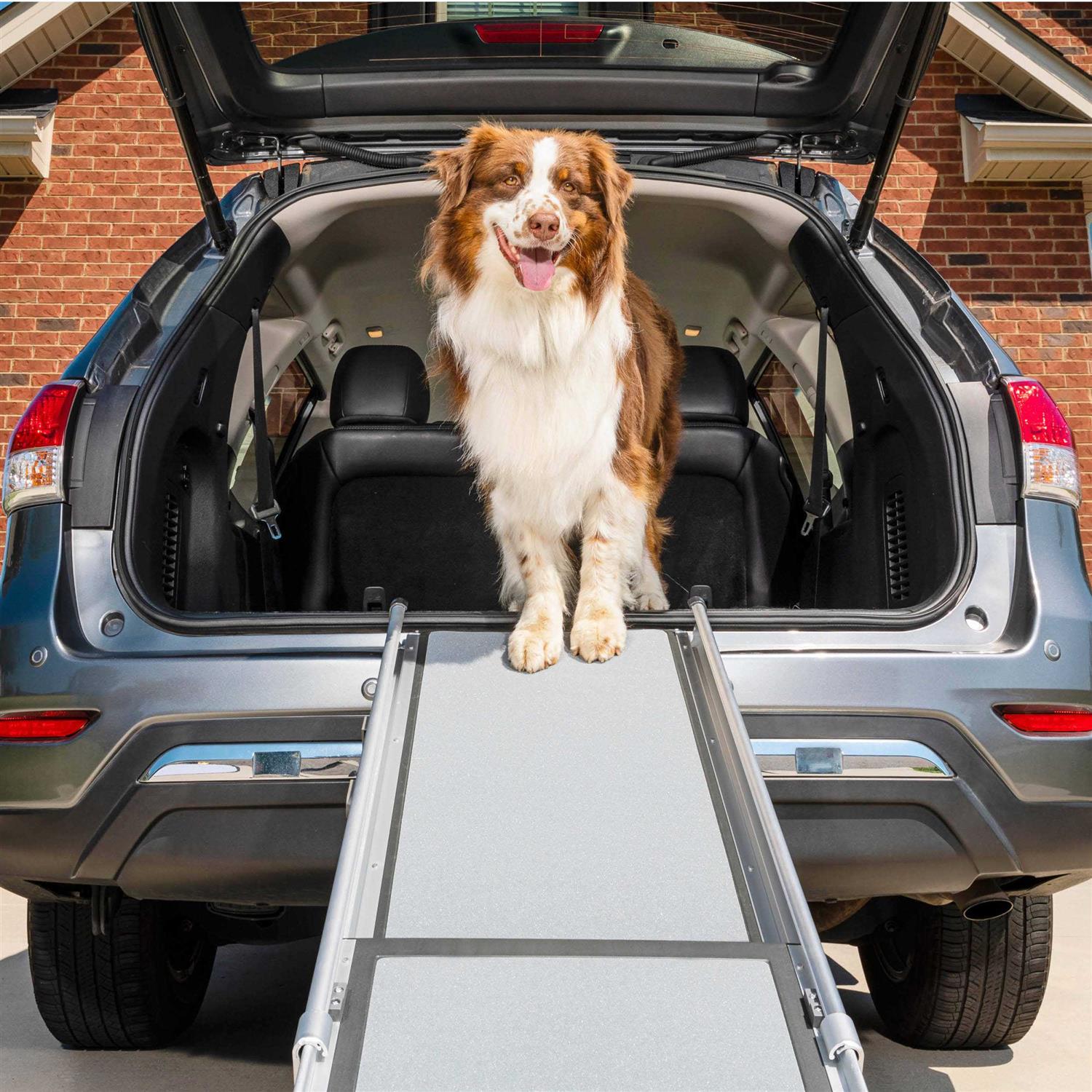 PetSafe Deluxe Telescoping Pet Ramp - Pet Supplies online store