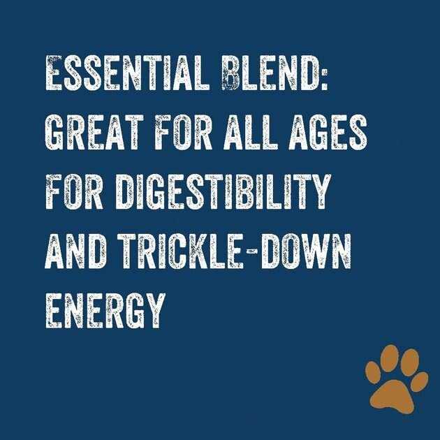 Team Dog Essential Blend Premium Dog Food - Pet Supplies online store