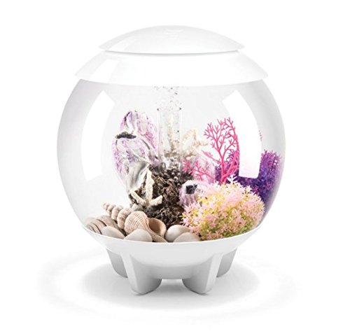 biOrb Halo Aquarium with MCR Lighting