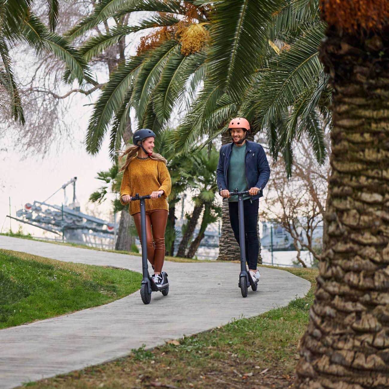 Segway Ninebot KickScooter E22 Electric Scooter - Sports Supplies Online Store
