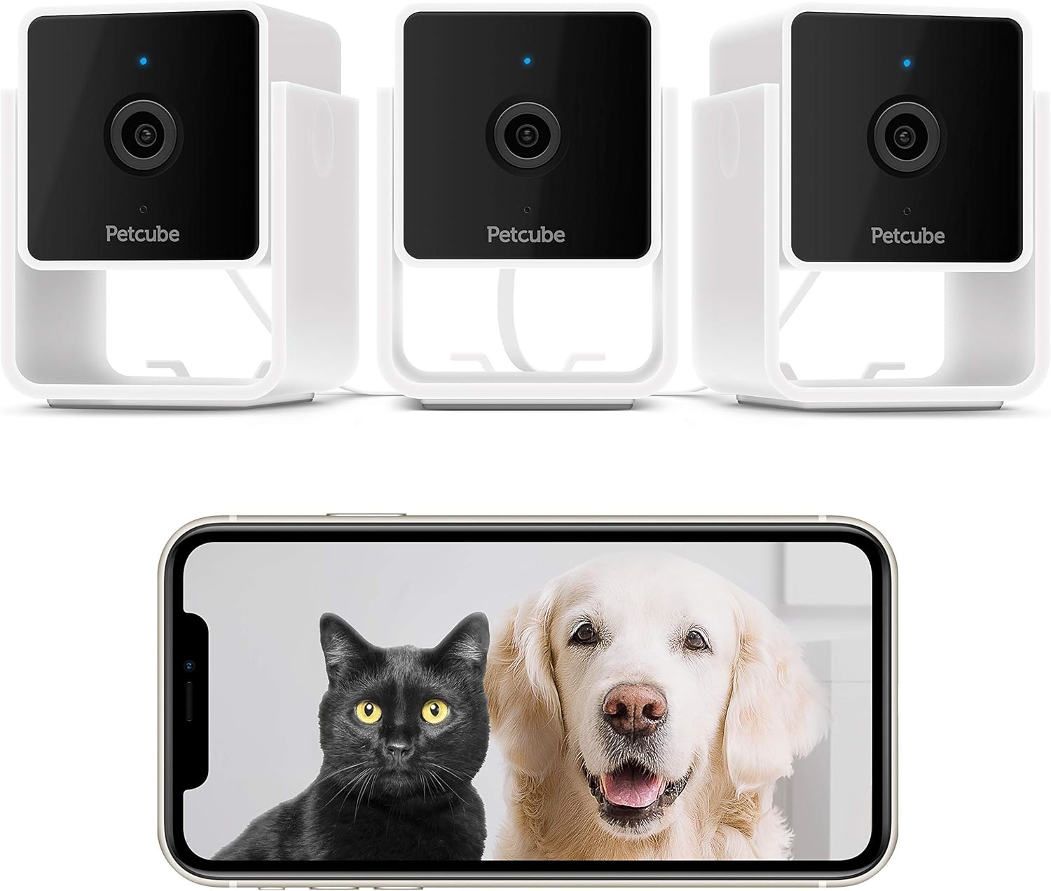 Petcube Pack of 2 Cam Pet Monitoring Camera with Built-in Vet Chat for Cats & Dogs, Security Camera with 1080p HD Video, Night Vision, Two-Way Audio