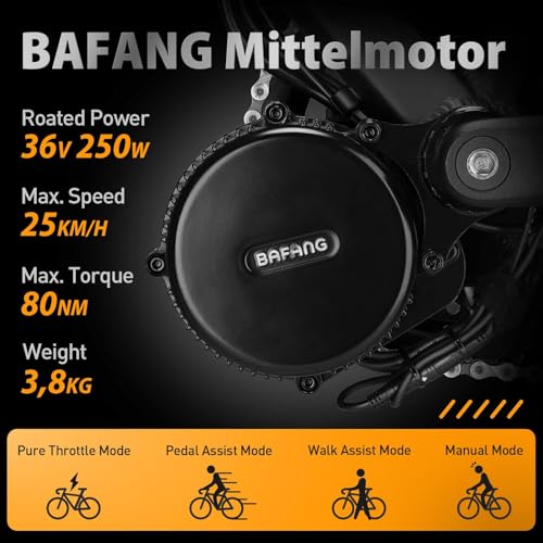 Bafang Electric Bike Conversion Kit Mid Motor BBS-HD 48 V 1000 W Motor Accessories Display Optional Kit Downtube Battery